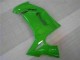 Grün EX650 2006-2008 Verkleidung Grün EX650 2006-2008 Verkleidung