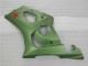 Grün GSXR 1000 K3 2003-2004 Verkleidungen Grün GSXR 1000 K3 2003-2004 Verkleidungen