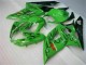 Grün GSXR 1000 K5 2005-2006 Verkleidungen Grün GSXR 1000 K5 2005-2006 Verkleidungen