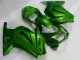 Grün Ninja EX250 2008-2012 Verkleidung Grün Ninja EX250 2008-2012 Verkleidung
