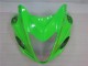 Grün Schwarz GSXR 1300 Hayabusa 2008-2019 Verkleidungen Grün Schwarz GSXR 1300 Hayabusa 2008-2019 Verkleidungen