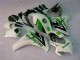 Grün Weiß CBR 1000 RR 2008-2011 Vollverkleidung