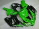 Grün Weiß Schwarz ZX6R 2005-2006 Verkleidungen