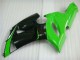 Grün Weiß Schwarz ZX6R 2005-2006 Verkleidungen