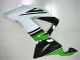 Grün Weiß Schwarz ZX6R 2013-2018 Verkleidungen Grün Weiß Schwarz ZX6R 2013-2018 Verkleidungen