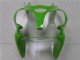 Grün ZX6R 2000-2002 Verkleidungen