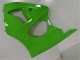 Grün ZX6R 2000-2002 Verkleidungen