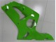 Grün ZX6R 2003-2004 Verkleidung Grün ZX6R 2003-2004 Verkleidung