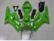 Grün ZX6R 2003-2004 Verkleidung Grün ZX6R 2003-2004 Verkleidung