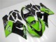 Grün ZX6R 2005-2006 Verkleidungen Grün ZX6R 2005-2006 Verkleidungen