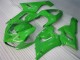 Grün ZX6R 2005-2006 Verkleidungen & Plastik Grün ZX6R 2005-2006 Verkleidungen & Plastik