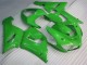 Grün ZX6R 2005-2006 Verkleidungen & Plastik Grün ZX6R 2005-2006 Verkleidungen & Plastik