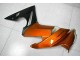 Orange EX650 2009-2011 Verkleidungen Orange EX650 2009-2011 Verkleidungen