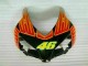 Orange Grün CBR 1000 RR 2004-2005 Verkleidungen Orange Grün CBR 1000 RR 2004-2005 Verkleidungen