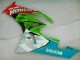 Rot Grün Motocard ZX6R 2009-2012 Verkleidungen Rot Grün Motocard ZX6R 2009-2012 Verkleidungen