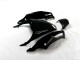 Schwarz Grün ZX14R ZZR 1400 2012-2021 Verkleidungen Schwarz Grün ZX14R ZZR 1400 2012-2021 Verkleidungen