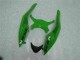 Schwarz Grün ZX6R 2009-2012 Verkleidungen & Plastik Schwarz Grün ZX6R 2009-2012 Verkleidungen & Plastik