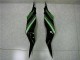 Schwarz Grün ZX6R 2013-2018 Verkleidungen Schwarz Grün ZX6R 2013-2018 Verkleidungen