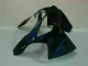 Schwarz mit Blaur Flamme ZX6R 2000-2002 Verkleidungen Schwarz mit Blaur Flamme ZX6R 2000-2002 Verkleidungen