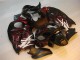 Schwarz rote Flamme GSXR 1300 Hayabusa 1996-2007 Verkleidung Schwarz rote Flamme GSXR 1300 Hayabusa 1996-2007 Verkleidung