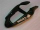 Schwarzer West Ninja ZX6R 2000-2002 Verkleidungen Schwarzer West Ninja ZX6R 2000-2002 Verkleidungen
