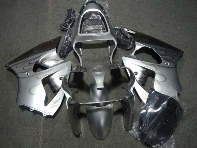 Silber Flamme ZX6R 2000-2002 Verkleidungen Silber Flamme ZX6R 2000-2002 Verkleidungen