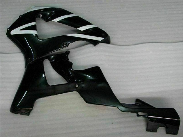 Weiß CBR 900 RR 929RR 2000-2001 Verkleidungen Weiß CBR 900 RR 929RR 2000-2001 Verkleidungen