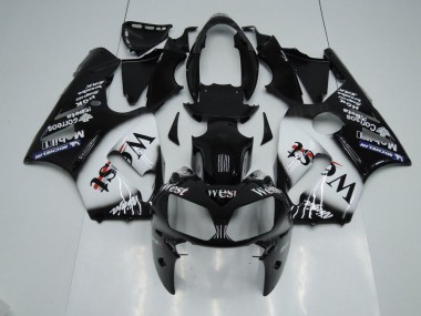 West ZX12R 2002-2006 Verkleidungen